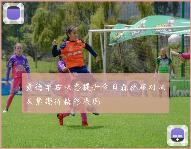 爱德华兹状态提升今日森林狼对决灰熊期待精彩表现