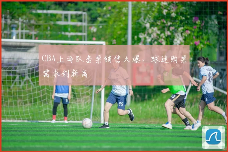 CBA上海队套票销售火爆，球迷购票需求创新高