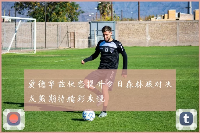 爱德华兹状态提升今日森林狼对决灰熊期待精彩表现