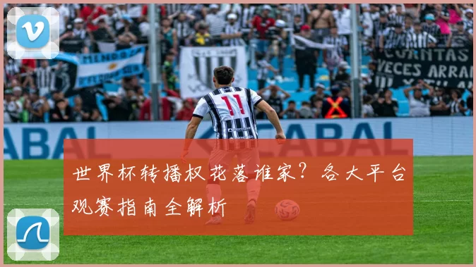 世界杯转播权花落谁家?各大平台观赛指南全解析
