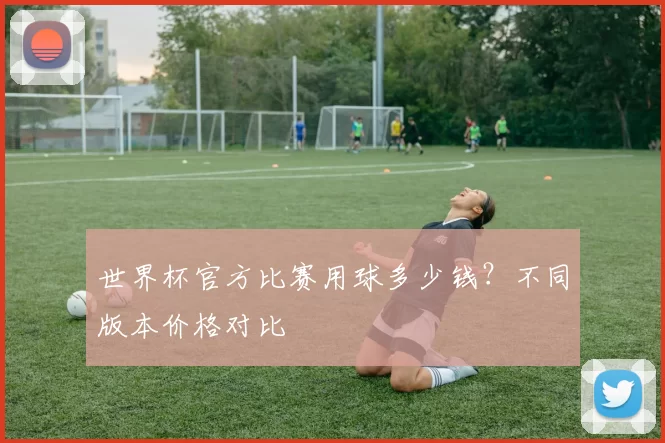 世界杯官方比赛用球多少钱？不同版本价格对比