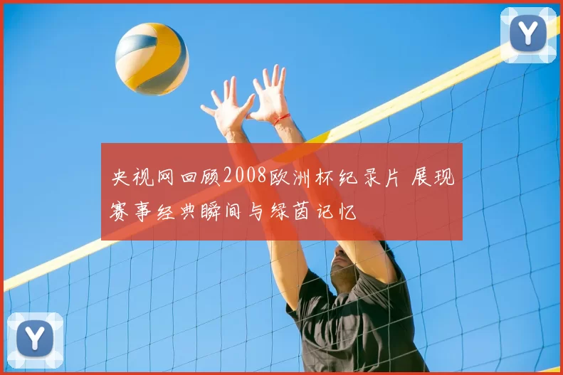 央视网回顾2008欧洲杯纪录片 展现赛事经典瞬间与绿茵记忆