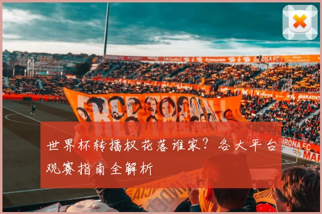 世界杯转播权花落谁家?各大平台观赛指南全解析