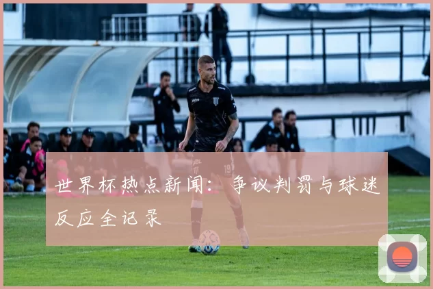 世界杯热点新闻:争议判罚与球迷反应全记录