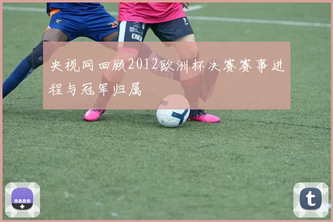 央视网回顾2012欧洲杯决赛赛事进程与冠军归属