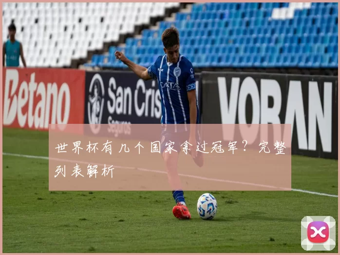 世界杯有几个国家拿过冠军?完整列表解析