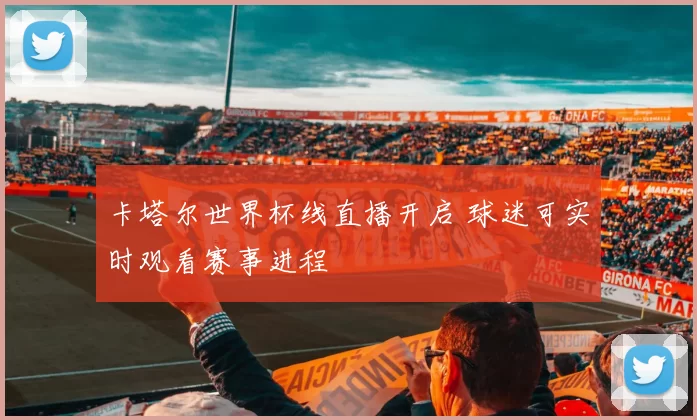 卡塔尔世界杯线直播开启 球迷可实时观看赛事进程