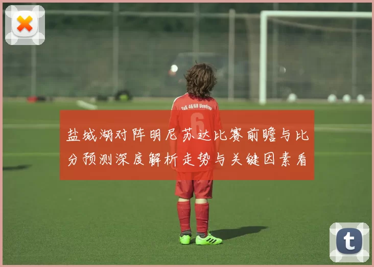 盐城湖对阵明尼苏达比赛前瞻与比分预测深度解析走势与关键因素看点