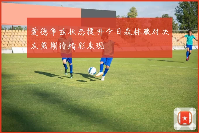 爱德华兹状态提升今日森林狼对决灰熊期待精彩表现