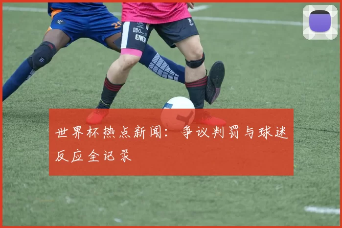 世界杯热点新闻:争议判罚与球迷反应全记录
