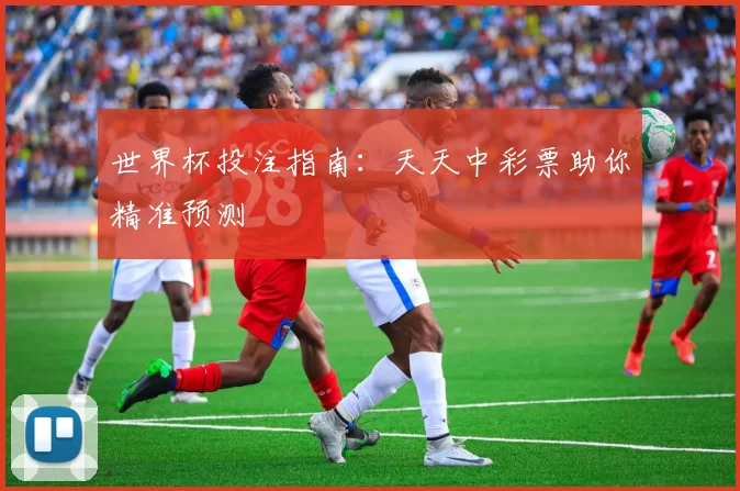 世界杯投注指南：天天中彩票助你精准预测