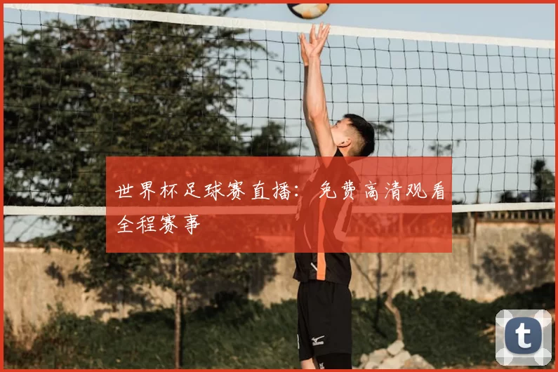 世界杯足球赛直播:免费高清观看全程赛事