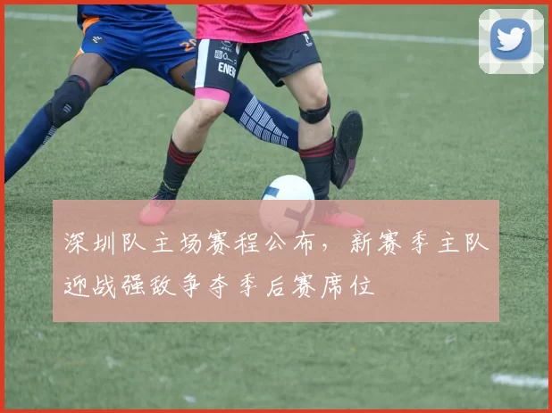 深圳队主场赛程公布，新赛季主队迎战强敌争夺季后赛席位