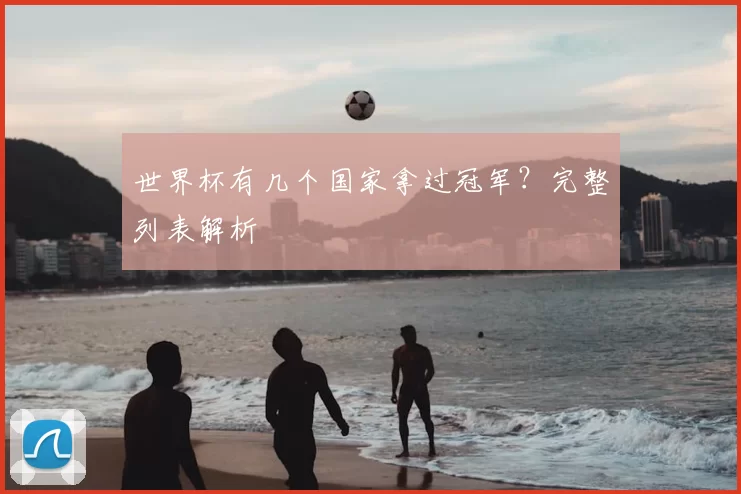 世界杯有几个国家拿过冠军?完整列表解析