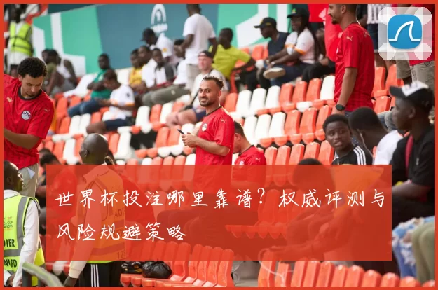 世界杯投注哪里靠谱?权威评测与风险规避策略