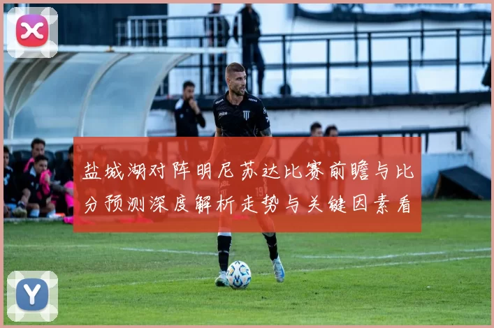 盐城湖对阵明尼苏达比赛前瞻与比分预测深度解析走势与关键因素看点