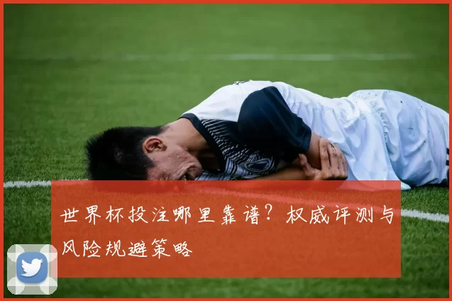世界杯投注哪里靠谱？权威评测与风险规避策略