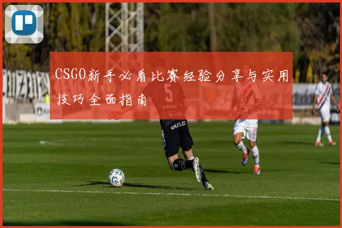 CSGO新手必看比赛经验分享与实用技巧全面指南