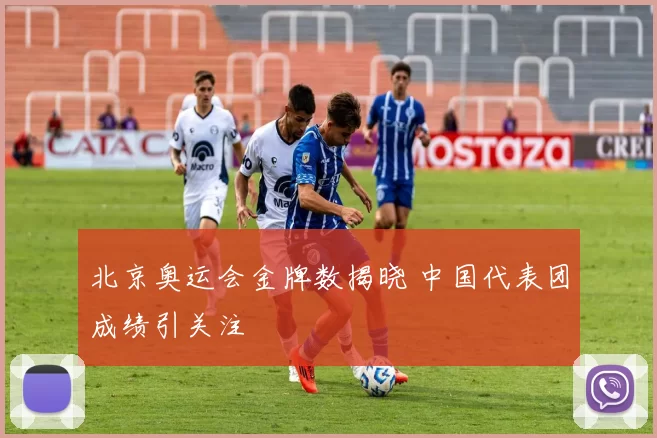 北京奥运会金牌数揭晓 中国代表团成绩引关注